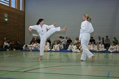 IMG_3343_bearbeitet-1