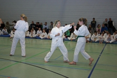 IMG_3345_bearbeitet-1