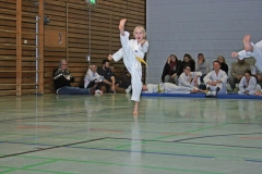 IMG_3353_bearbeitet-1