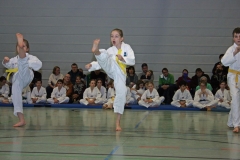 IMG_3355_bearbeitet-1