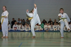 IMG_3401_bearbeitet-1