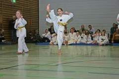 IMG_3403_bearbeitet-1