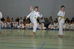 IMG_3428_bearbeitet-1