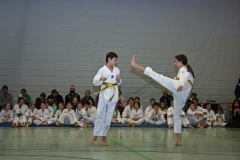 IMG_3439_bearbeitet-1