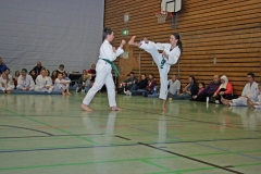 IMG_3508_bearbeitet-1