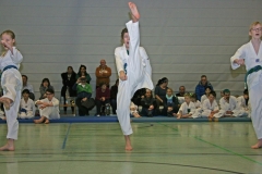 IMG_3527_bearbeitet-1