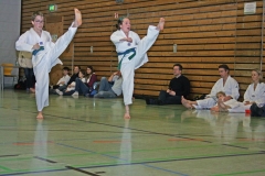 IMG_3530_bearbeitet-1