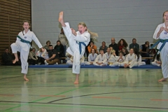 IMG_3533_bearbeitet-1