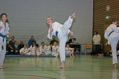 IMG_3537_bearbeitet-1