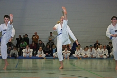 IMG_3568_bearbeitet-1