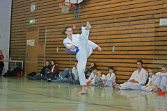 IMG_3571_bearbeitet-1