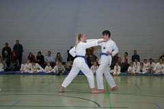 IMG_3597_bearbeitet-1