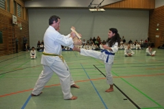 IMG_3608_bearbeitet-1