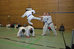 IMG_3613_bearbeitet-1