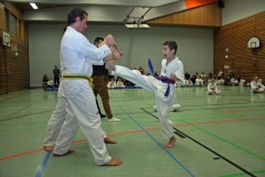 IMG_3662_bearbeitet-1