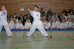 IMG_3146_bearbeitet-1