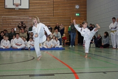 IMG_3155_bearbeitet-1