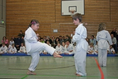 IMG_3169_bearbeitet-1