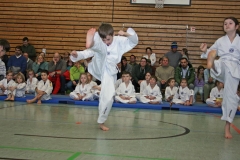 IMG_3210_bearbeitet-1