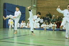 IMG_3211_bearbeitet-1