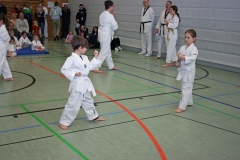 IMG_3224_bearbeitet-1