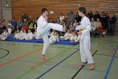 IMG_3228_bearbeitet-1