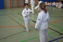 IMG_3229_bearbeitet-1