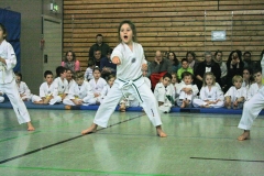 IMG_3239_bearbeitet-1