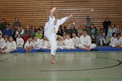 IMG_3246_bearbeitet-1