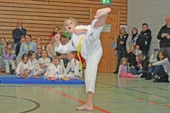IMG_3248_bearbeitet-2