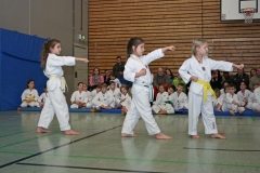 IMG_3252_bearbeitet-1