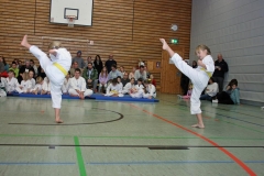 IMG_3255_bearbeitet-1