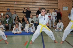 IMG_3262_bearbeitet-1