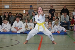 IMG_3264_bearbeitet-1