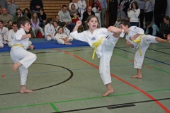 IMG_3269_bearbeitet-1