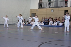 IMG_4463_bearbeitet-1