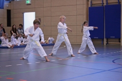 IMG_4508_bearbeitet-1