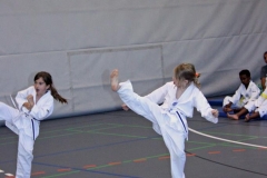 IMG_4533_bearbeitet-1