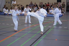 IMG_4543_bearbeitet-1