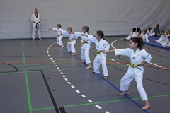 IMG_4552_bearbeitet-1