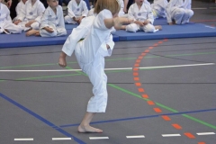 IMG_4559_bearbeitet-1