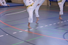 IMG_4561_bearbeitet-1