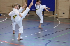 IMG_4563_bearbeitet-1