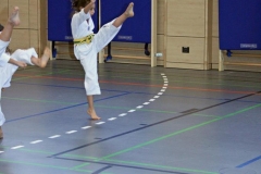 IMG_4565_bearbeitet-1