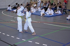 IMG_4583_bearbeitet-1