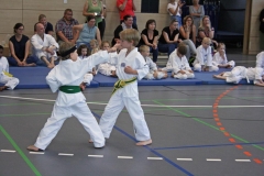 IMG_4586_bearbeitet-1