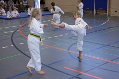 IMG_4594_bearbeitet-1