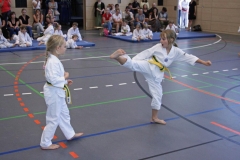 IMG_4595_bearbeitet-1