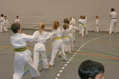 IMG_7515_bearbeitet-1