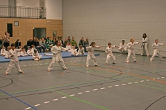 IMG_7600_bearbeitet-1